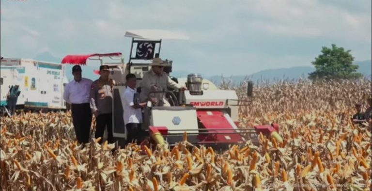Prabowo Tegaskan Komitmen Target Nyata Swasembada Jagung